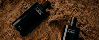 Best Men's Perfumes Perfect for Festive Gifting