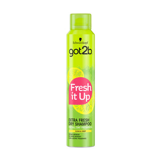 Got2B Fresh it up Extra fresh Dry Shampoo